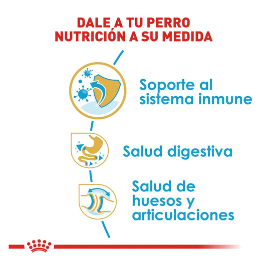 Royal Canin Bulldog Puppy - Alimento para Cachorro 8kg