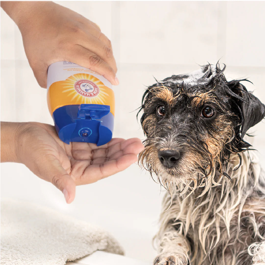 Arm & Hammer Shampoo para Perro Control Caída de Pelo, aroma Guayaba.