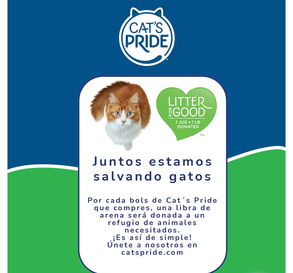 Cat's Pride - Arena para Gatos