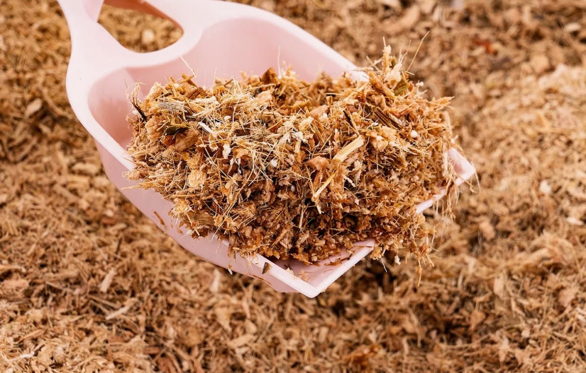 Arena para gato BIODEGRADABLE