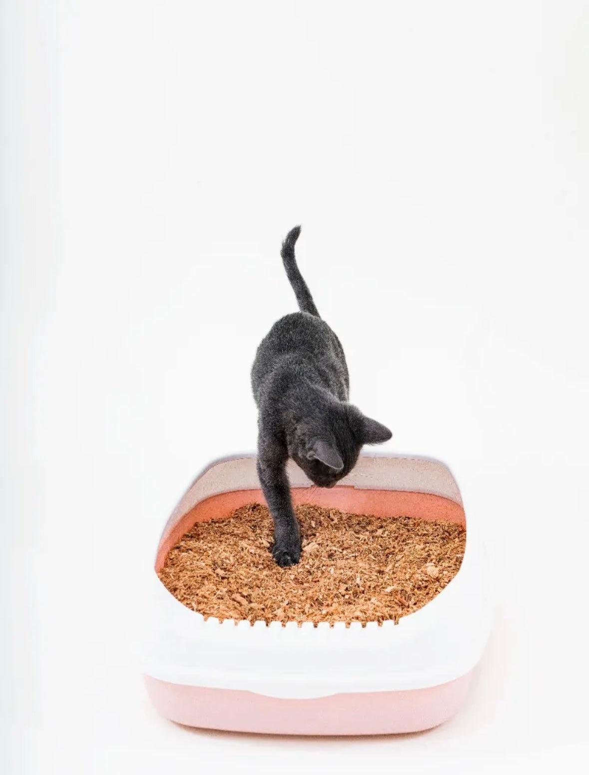 Arena para gato BIODEGRADABLE