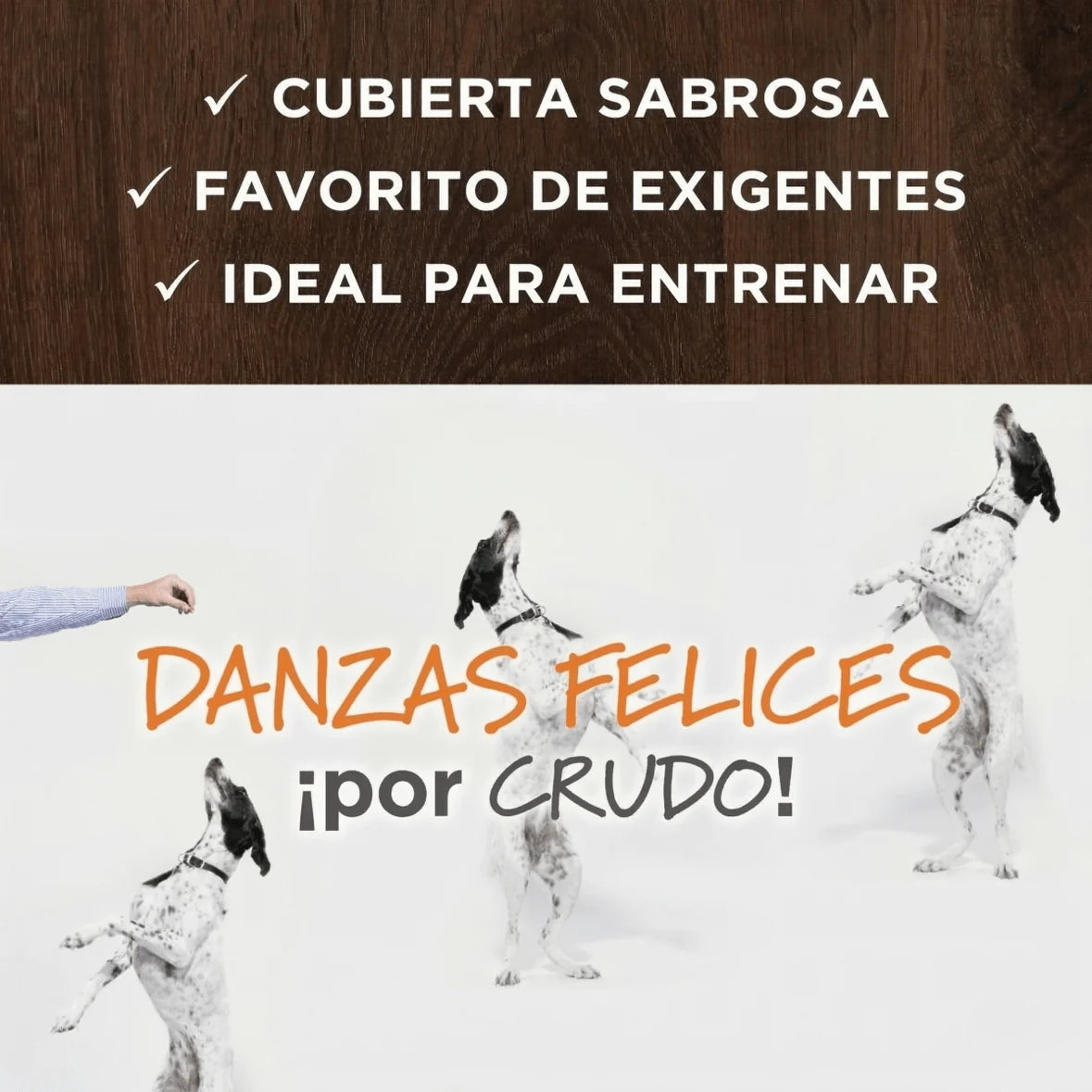 Instinct Raw Boost Mixers Piel y Pelaje Sanos para Perro