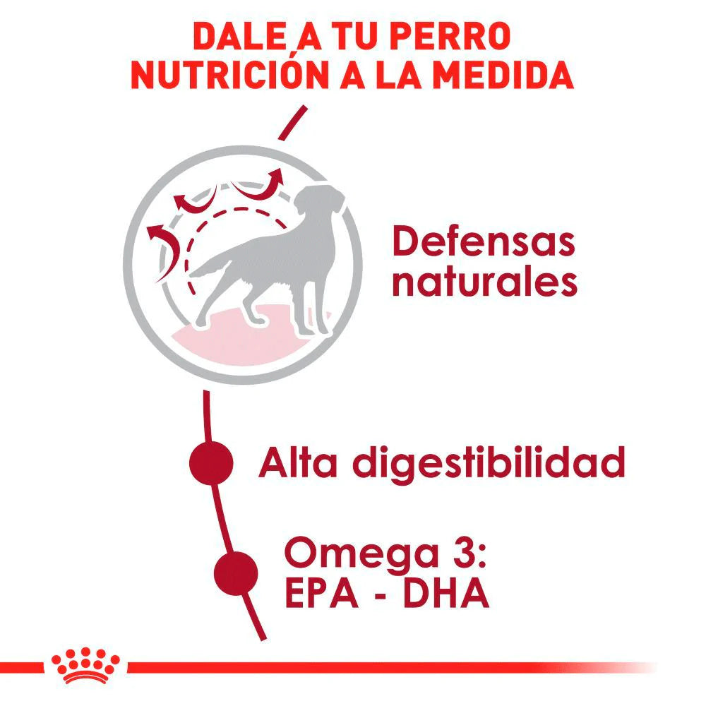 Royal Canin Razas Mredianas Adulto 13.6 Kg