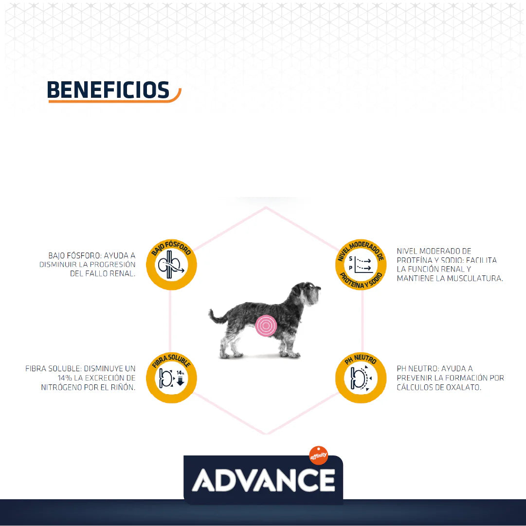 Advance Renal Perro 12kg