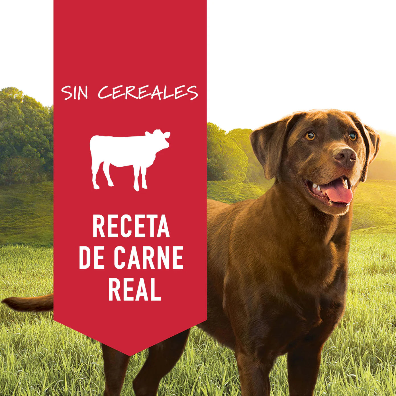 Lata Instinct Res - Para Perros - Lata de 13.2 onzas