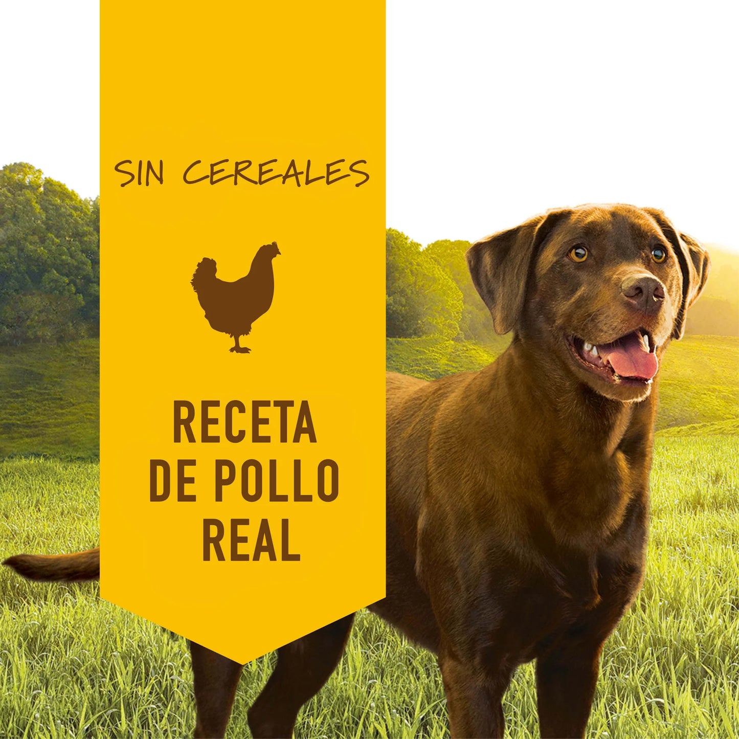 Instinct Pollo en Lata - Para Perros - Lata 13.2 onz