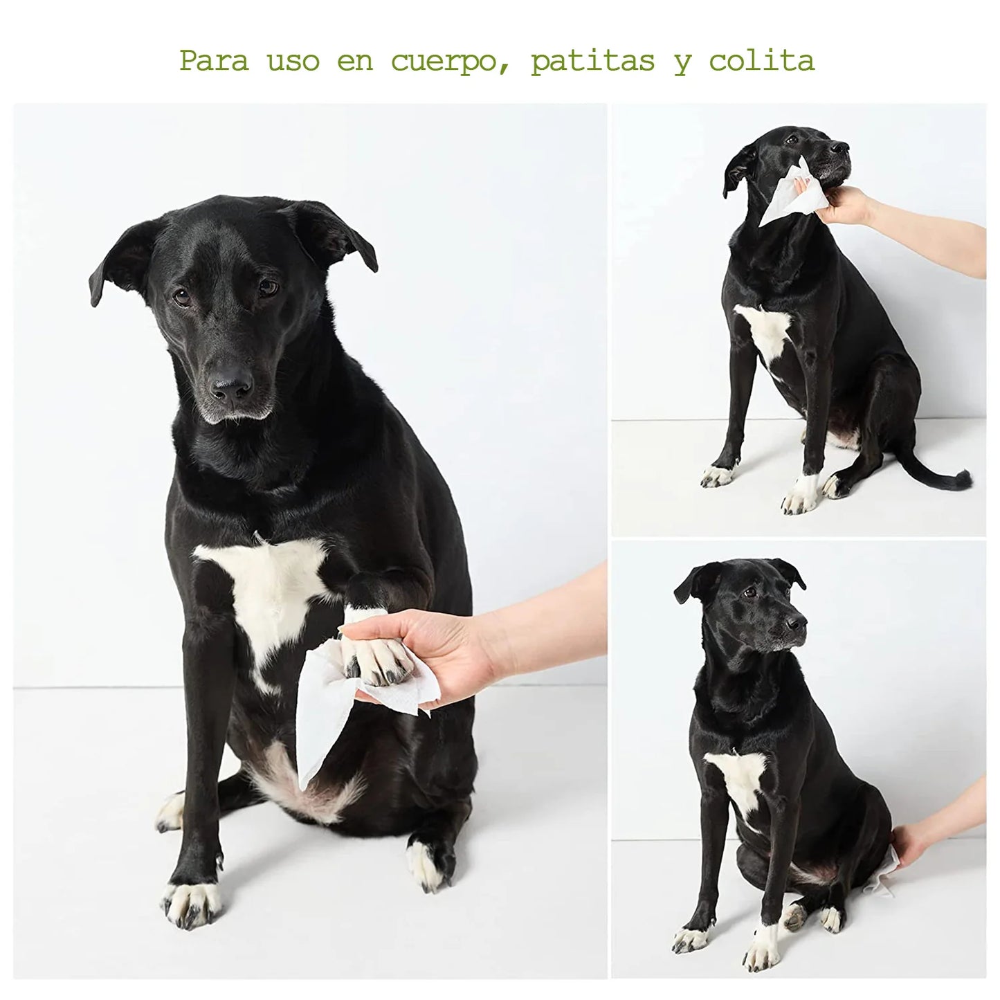 Toallitas Húmedas para Perros, Hipoalergénicas y Libres de Parabenos, Aroma Lavanda
