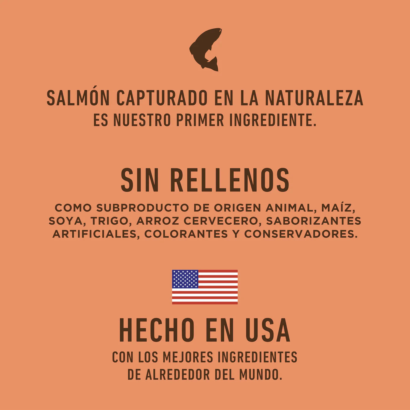 Instinct Be Natural Salmón - Para Perros - 24 lb
