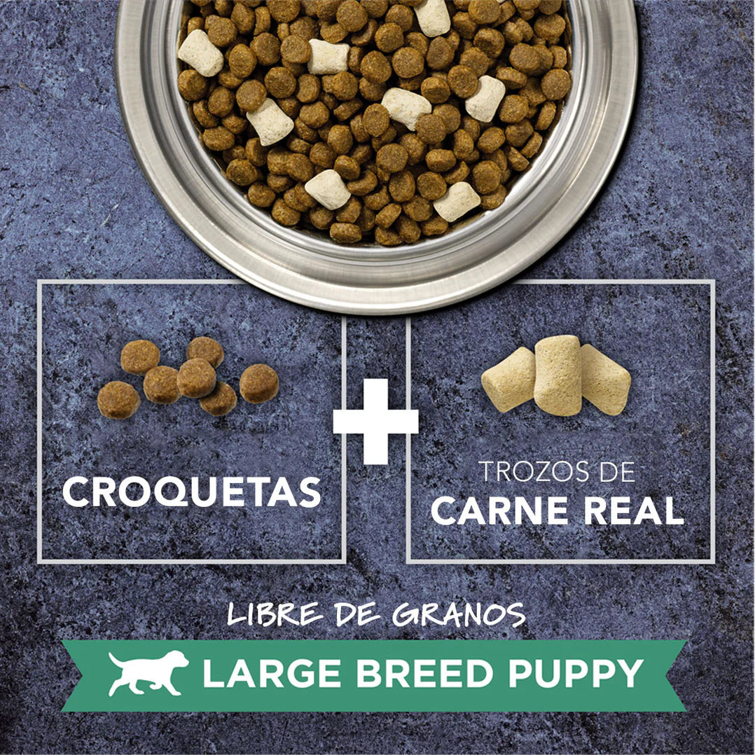Instinct Salmón - Para Perros - 20 lb